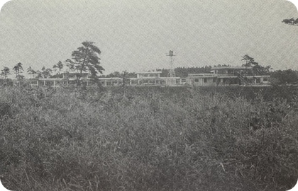 全景