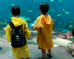 県民の日はみんなで鴨シー